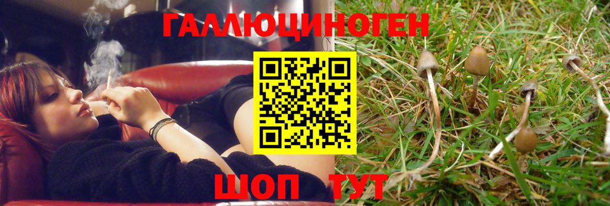 Галлюциногенные грибы MAGIC MUSHROOMS  сколько стоит  Сегежа  Вход с VPN 